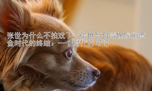 张世为什么不拍戏了，张世与台湾偶像剧黄金时代的终结：一个时代的印记插图