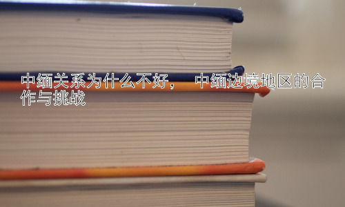 中缅关系为什么不好， 中缅边境地区的合作与挑战插图