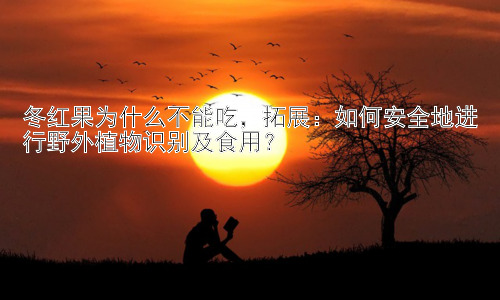 冬红果为什么不能吃，拓展：如何安全地进行野外植物识别及食用？插图