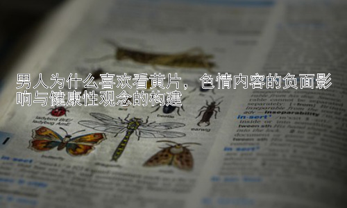 男人为什么喜欢看黄片，色情内容的负面影响与健康性观念的构建插图