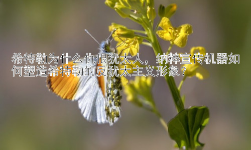 希特勒为什么仇恨犹太人，纳粹宣传机器如何塑造希特勒的反犹太主义形象？插图