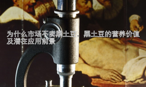 为什么市场不卖黑土豆，黑土豆的营养价值及潜在应用前景插图