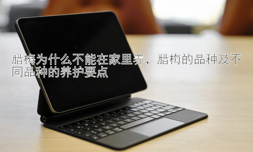 腊梅为什么不能在家里养，腊梅的品种及不同品种的养护要点插图