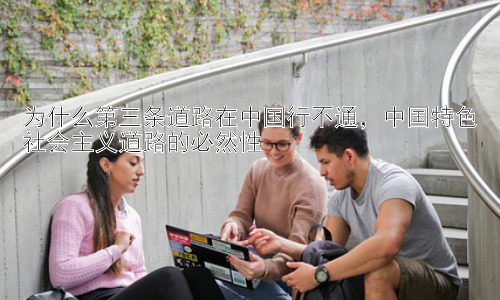为什么第三条道路在中国行不通，中国特色社会主义道路的必然性插图