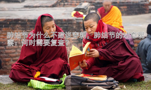 肺结节为什么不建议穿刺，肺结节的动态观察：何时需要复查？插图