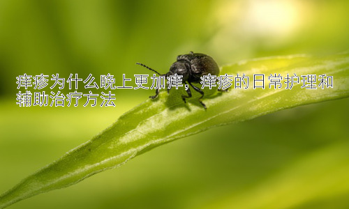 痒疹为什么晚上更加痒，痒疹的日常护理和辅助治疗方法插图