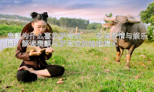 费麒为什么喜欢罗海琼，  低调爱情与娱乐圈：解读费麒与罗海琼的婚姻模式插图