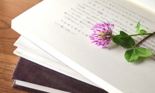皙之密为什么脸亮亮的， 皙之密产品成分及功效的科学性探讨插图1