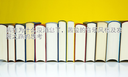 茜拉为什么没消息了，茜拉的音乐风格及发展之路的思考插图