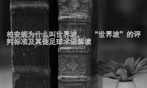 柏安妮为什么叫世界波，  “世界波”的评判标准及其他足球术语解读插图