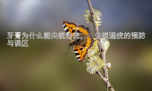 牙膏为什么能尖锐治疣，  尖锐湿疣的预防与误区插图