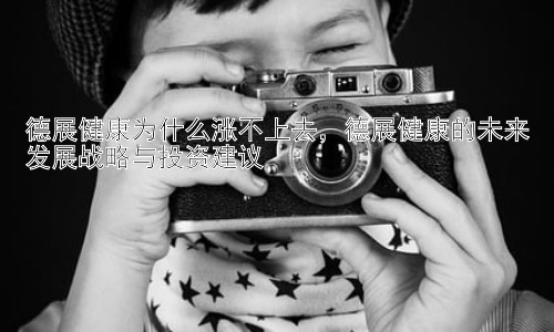 德展健康为什么涨不上去，德展健康的未来发展战略与投资建议插图