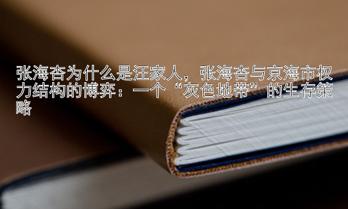张海杏为什么是汪家人，张海杏与京海市权力结构的博弈：一个“灰色地带”的生存策略插图
