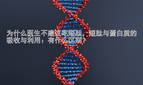 为什么医生不建议吃短肽，短肽与蛋白质的吸收与利用：有什么区别？插图