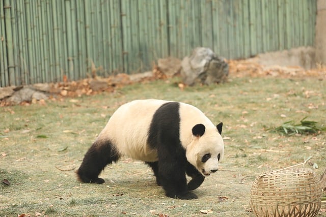 不胜感激是什么意思，感激之情的表达与文化差异插图2