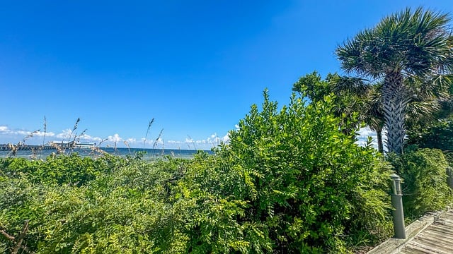 阴山为什么叫阴山，阴山与北方游牧民族的历史关联插图2