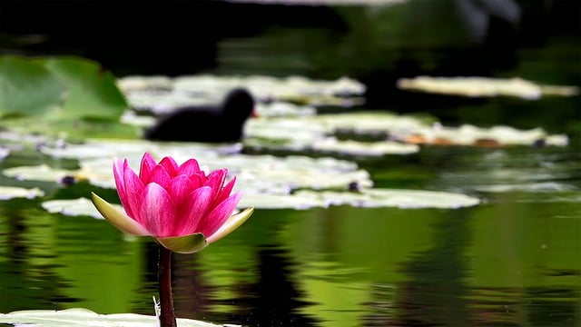 分数线为什么不一样 ，  分数线背后：一个更广阔的教育生态系统插图2