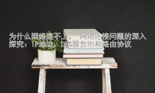 为什么网络连不上， 网络连接问题的深入探究：IP地址、DNS服务器和路由协议插图