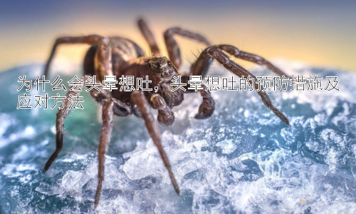 为什么会头晕想吐，头晕想吐的预防措施及应对方法插图