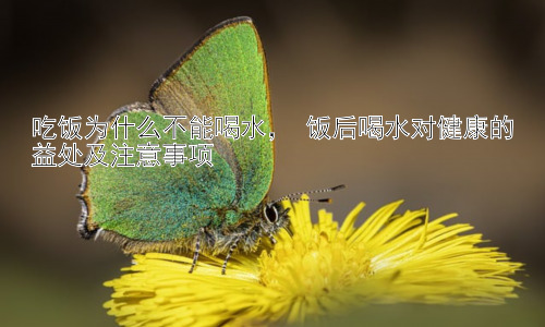 吃饭为什么不能喝水， 饭后喝水对健康的益处及注意事项插图