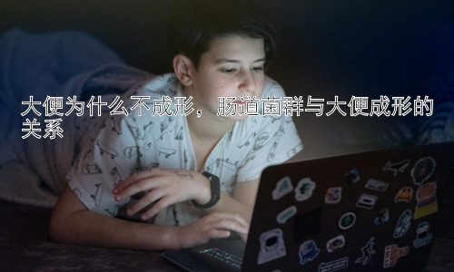 大便为什么不成形，肠道菌群与大便成形的关系插图