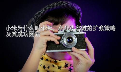 小米为什么叫小米，小米生态链的扩张策略及其成功因素插图