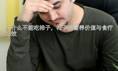 为什么不能吃柿子，柿子的营养价值与食疗功效插图