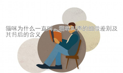 猫咪为什么一直叫，猫咪叫声的细微差别及其背后的含义插图