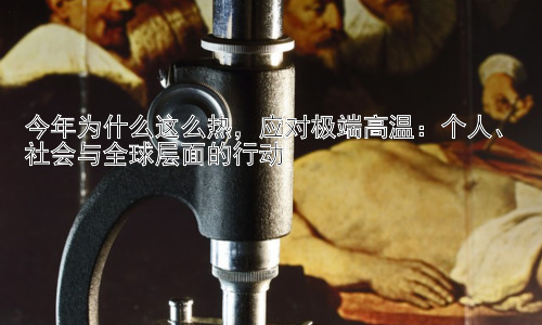 今年为什么这么热，应对极端高温：个人、社会与全球层面的行动插图