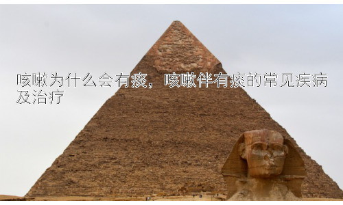 咳嗽为什么会有痰，咳嗽伴有痰的常见疾病及治疗插图