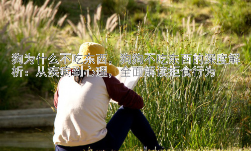 狗为什么不吃东西，狗狗不吃东西的深度解析：从疾病到心理，全面解读拒食行为插图
