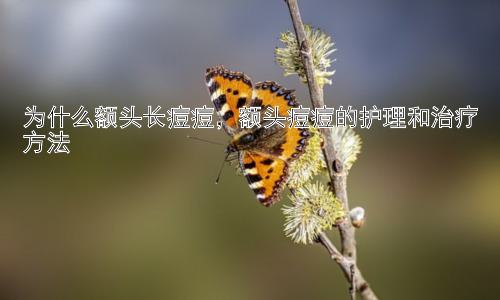 为什么额头长痘痘，额头痘痘的护理和治疗方法插图