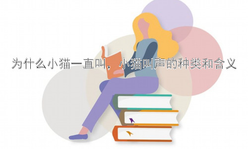 为什么小猫一直叫，小猫叫声的种类和含义插图