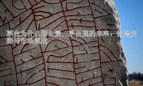 茅台为什么那么贵，茅台酒的未来：价格走势与市场挑战插图