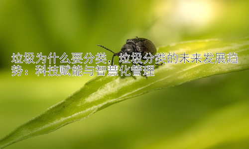 垃圾为什么要分类，垃圾分类的未来发展趋势：科技赋能与智慧化管理插图
