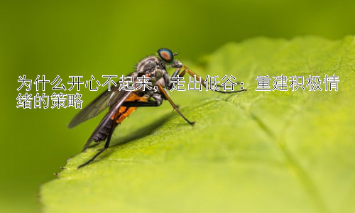 为什么开心不起来，走出低谷：重建积极情绪的策略插图