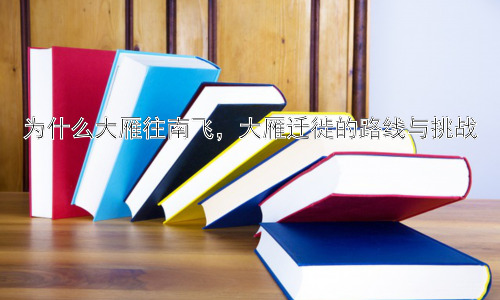 为什么大雁往南飞，大雁迁徙的路线与挑战插图
