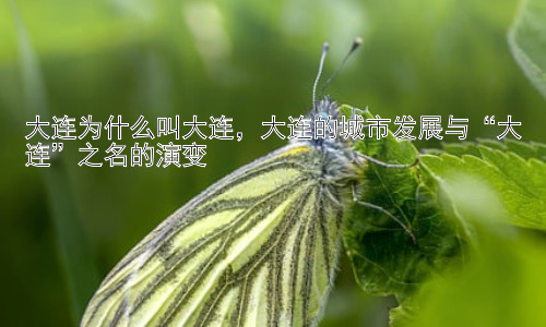 大连为什么叫大连，大连的城市发展与“大连”之名的演变插图