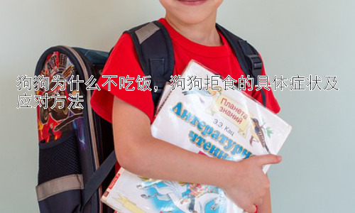狗狗为什么不吃饭，狗狗拒食的具体症状及应对方法插图