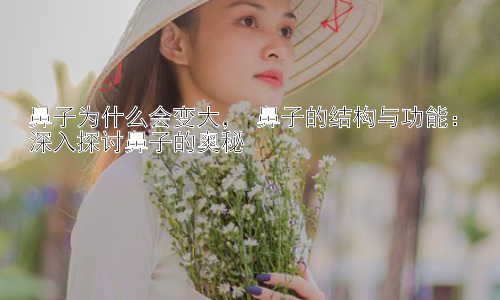 鼻子为什么会变大， 鼻子的结构与功能：深入探讨鼻子的奥秘插图