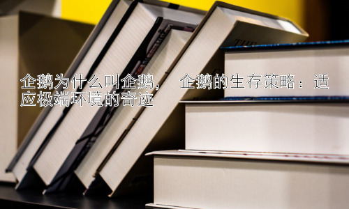 企鹅为什么叫企鹅， 企鹅的生存策略：适应极端环境的奇迹插图