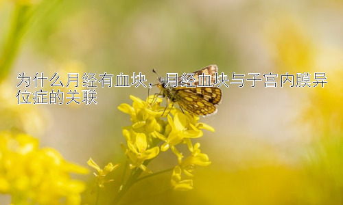 为什么月经有血块，月经血块与子宫内膜异位症的关联插图