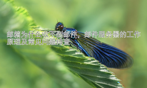 邮箱为什么收不到邮件，邮件服务器的工作原理及常见问题排查插图
