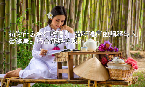 猫为什么会打呼噜， 猫呼噜声的频率与人类健康：巧合还是关联？插图