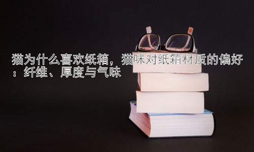 猫为什么喜欢纸箱，猫咪对纸箱材质的偏好：纤维、厚度与气味插图