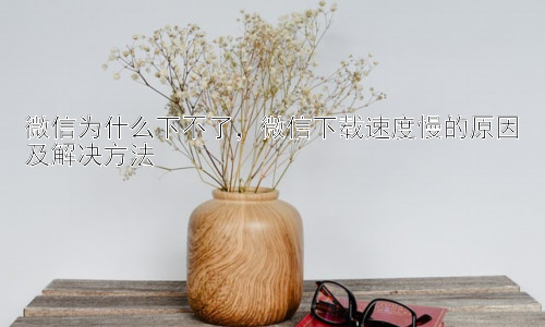微信为什么下不了，微信下载速度慢的原因及解决方法插图