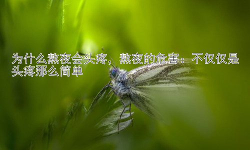 为什么熬夜会头疼，熬夜的危害：不仅仅是头疼那么简单插图