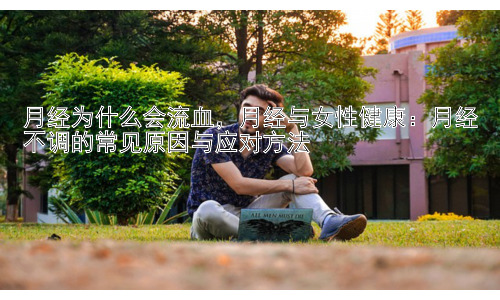 月经为什么会流血，月经与女性健康：月经不调的常见原因与应对方法插图