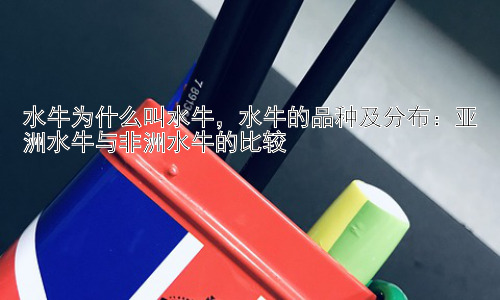 水牛为什么叫水牛，水牛的品种及分布：亚洲水牛与非洲水牛的比较插图
