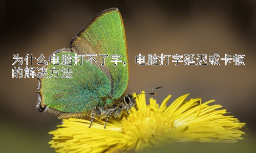 为什么电脑打不了字，电脑打字延迟或卡顿的解决方法插图